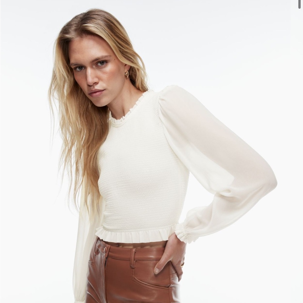 NWOT Wilfred Tempest Blouse